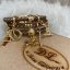Pulseira Feminina Banhada a ouro DL3