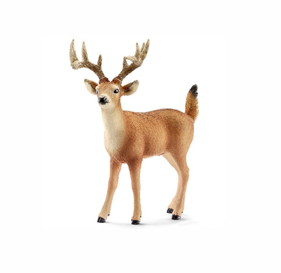 Miniatura Cervo White-tailed 