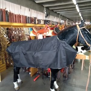 Capa Para Cavalo de Nylon Forrada